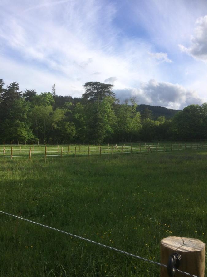 سيسترون Chateau De La Cazette المظهر الخارجي الصورة